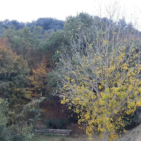 Casa Canut